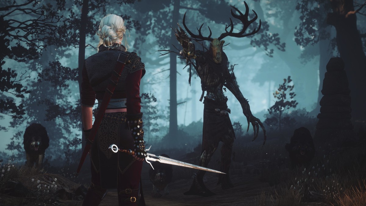 What is the hardest fight in Witcher 3?
