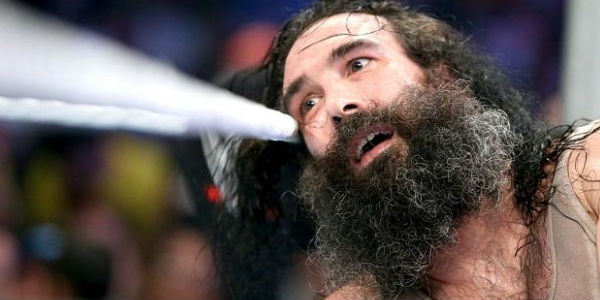 luke-harper-flipped.jpg (600300)