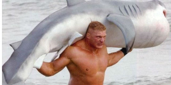 Brock-Lesnar-F5-Shark.jpg