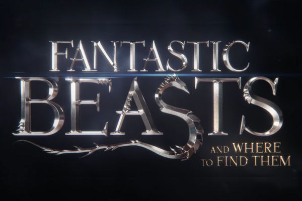 Watch Fantastic Beasts And Where To Find Them Movie Bluray 2016