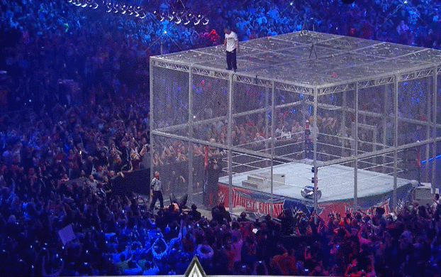 Shane McMahon Dove Off Of Cage.gif
