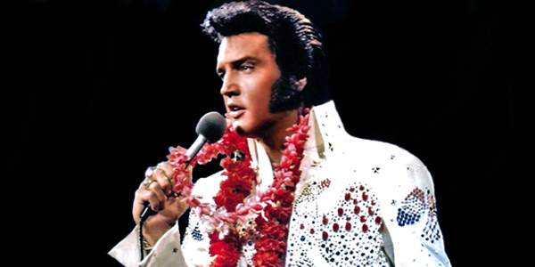 elvis