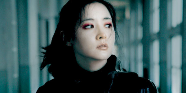 sympathy for lady vengeance