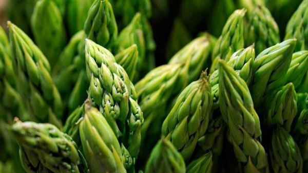 asparagus close up
