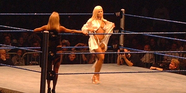 WWE WrestleMania 21 - Bra and Panties Matches 