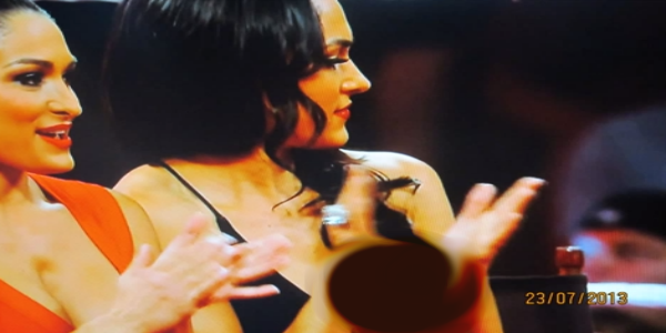 10. Brie Bella Nipple Slip.