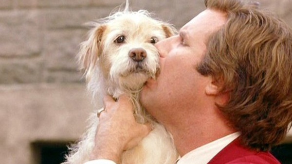 10 Awesome Movie Animals We Wish We Had As Pets – Page 8