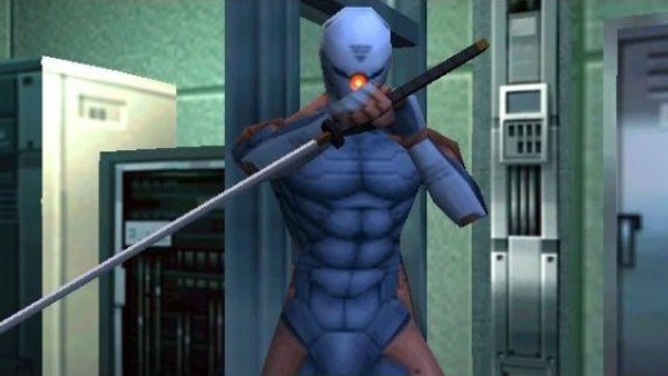 Grey Fox