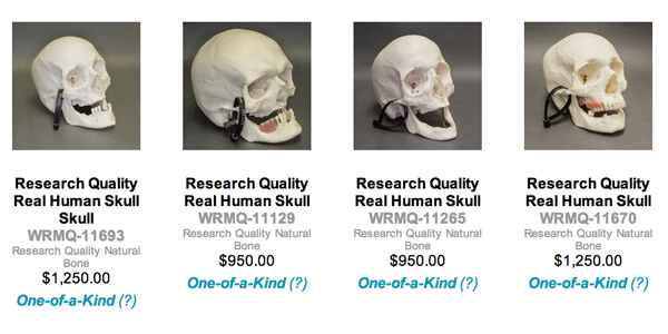 skullsunlimited.com