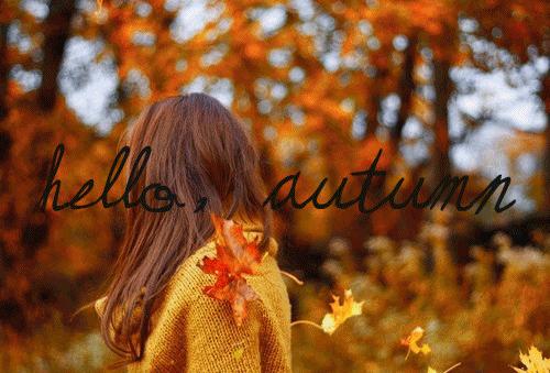 Image result for autumn most wonderful time of the year gif