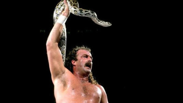 Jake Roberts Snake9