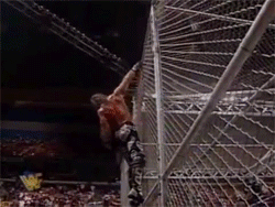 Shawn-Michaels-Hell-In-A-Cell.gif