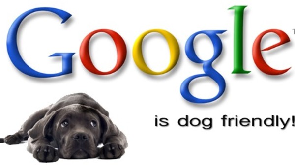 Google Is Dog Friendly