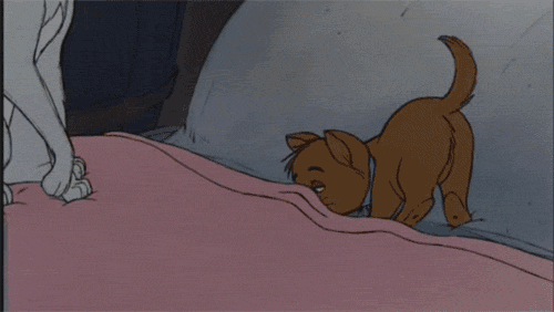 Lazy Bed Day Gif Gif