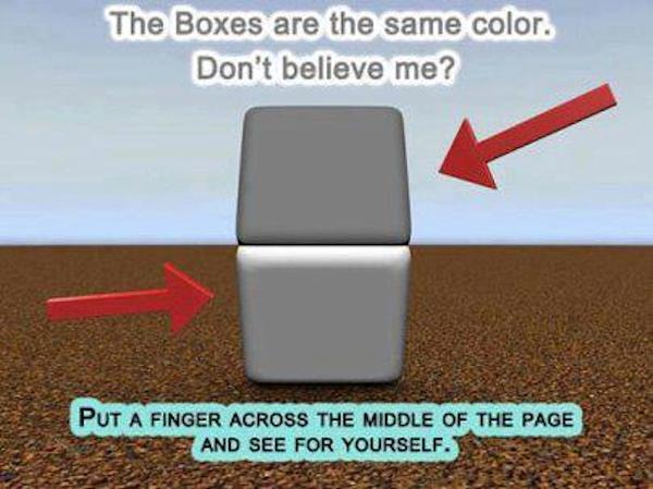 21 Mind Boggling Optical Illusions That Will Melt Your Brain Page 10 