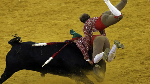 Two forcados of the Vila Franca de Xira group try to catch a bull during a traditional Portuguese bullfight at Lisbon's Campo Pequeno bullring, Thursday, Sept. 4, 2014. During the challenge a group of eight barehanded forcados stand in line and try to sub