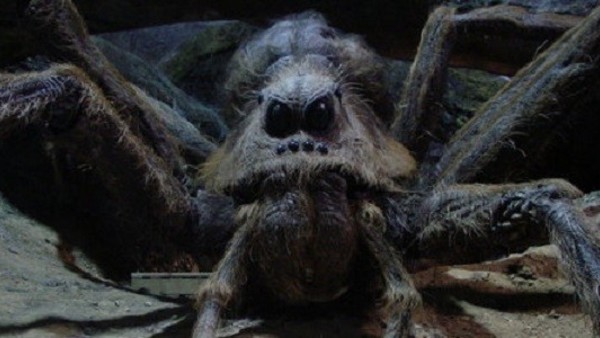 harry potter and the chamber of secrets spider