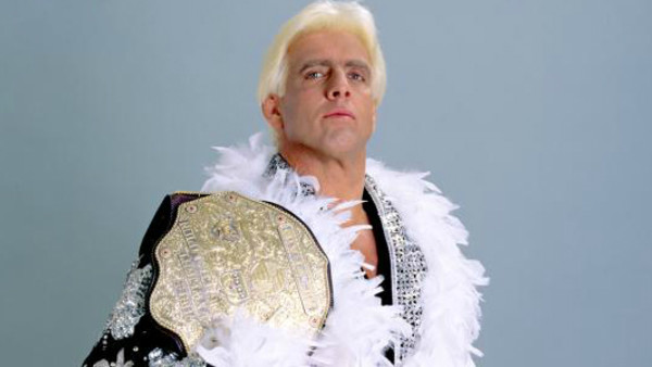 Ric Flair WWF Debut