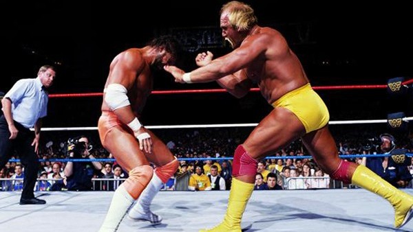 Hogan Savage Wm V