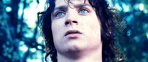 Frodo Crying Lord Of The Rings Gif Gif
