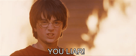 Harry And The Philosophers Stone You Liar Gif Gif
