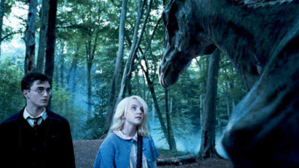 Harry And Luna With Thestral