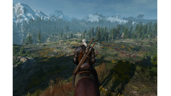 Witcher 3 wild hunt