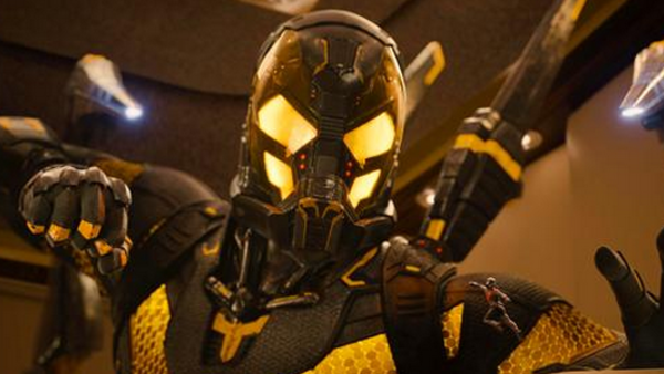 Yellowjacket ant man