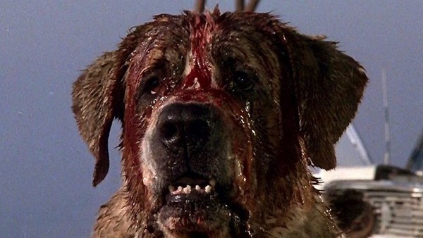 the stephen king thriller cujo features a killer canine of which dog breed