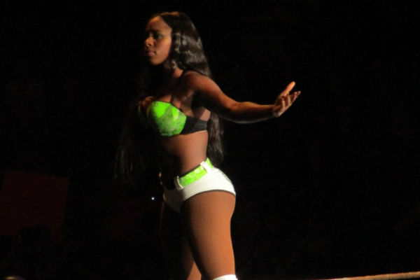 User blog:CEDJunior/Nikki Bella Heel Turn?, Pro Wrestling