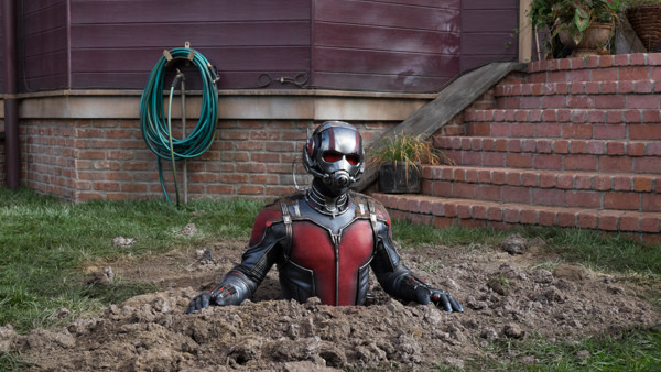 Ant Man Hole