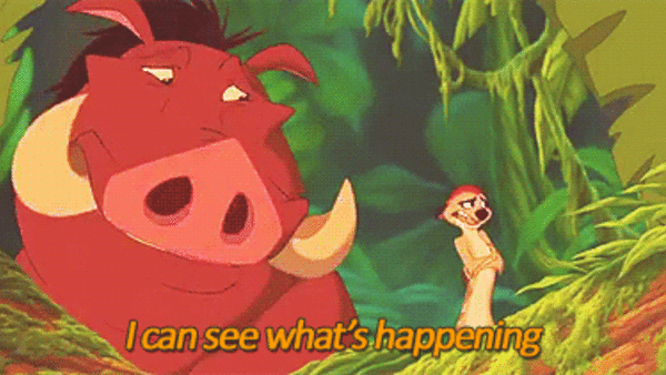 I Can See What's Happening Timone And Pumbaa The Lion King Gif