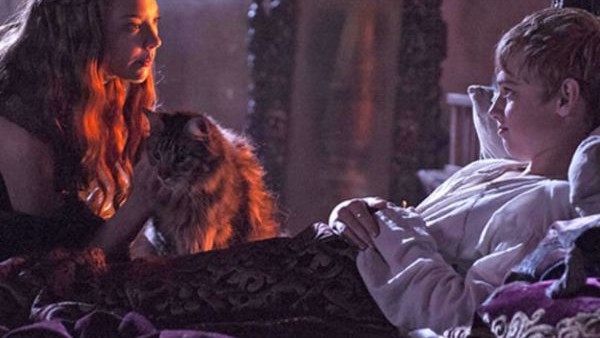 Ser Pounce Game Of Thrones