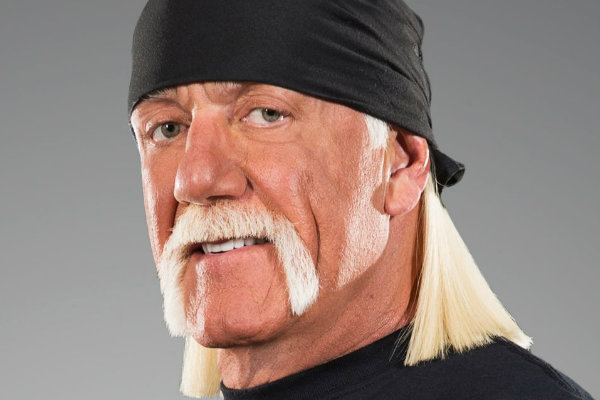 10 Best Things The Internet Has Done With The Hulk Hogan Saga