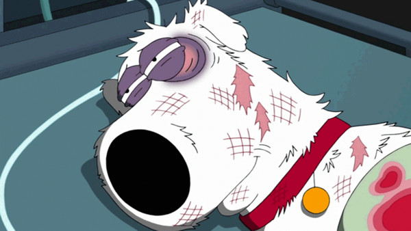 Family Guy Brian Giffin Death