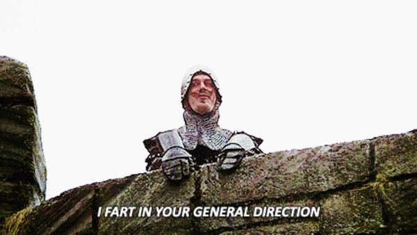 monty python fart in your general direction