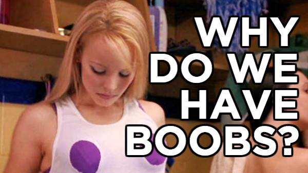 Why do we have boobs?
