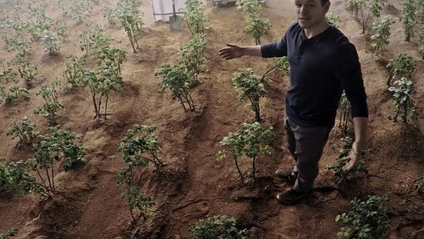 Matt Damon The Martian Potato Plants