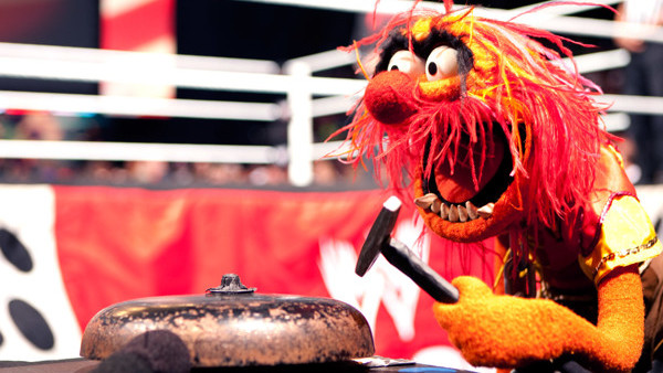 Animal Muppets WWE Raw