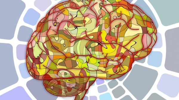 Colourful brain