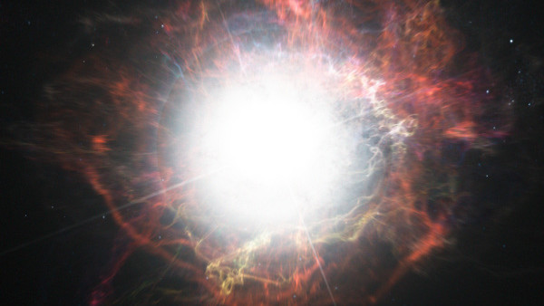 supernova white hole