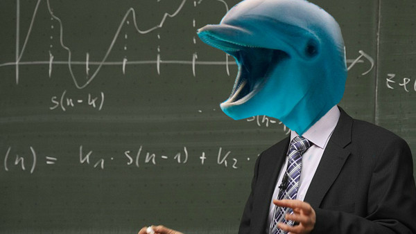 dolphin professor
