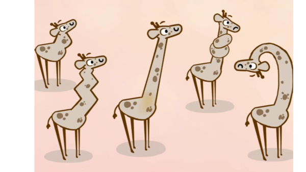 evolution of the giraffe