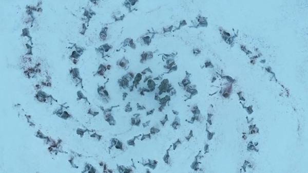 Game Of Thrones What Do The White Walker Symbols Mean?