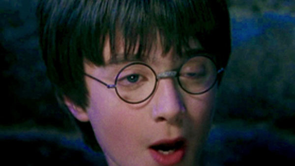 Harry Potter Derp