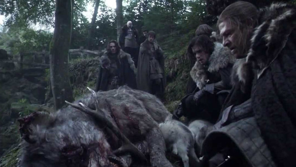 Stag Direwolf Game Of Thrones