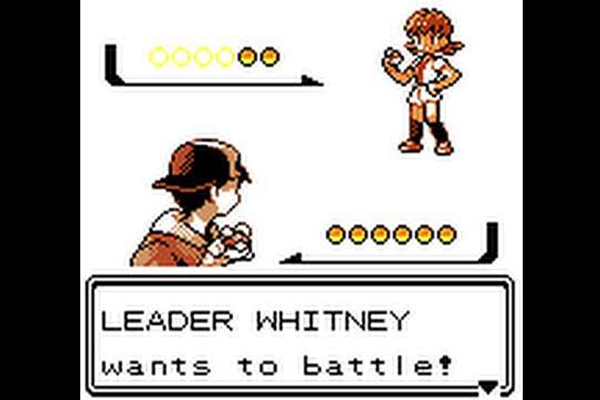 pokemon gym leader whitney