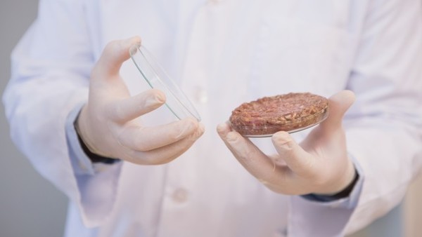 Scientist examining beefsteak in petri dish