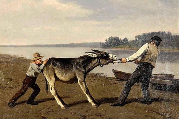Stubborn mule