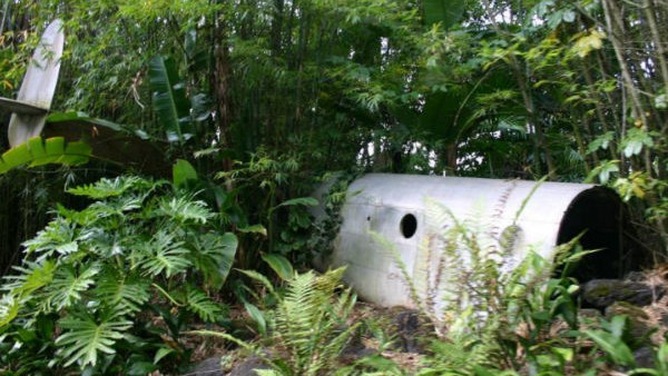 jungle cruise crashed plane